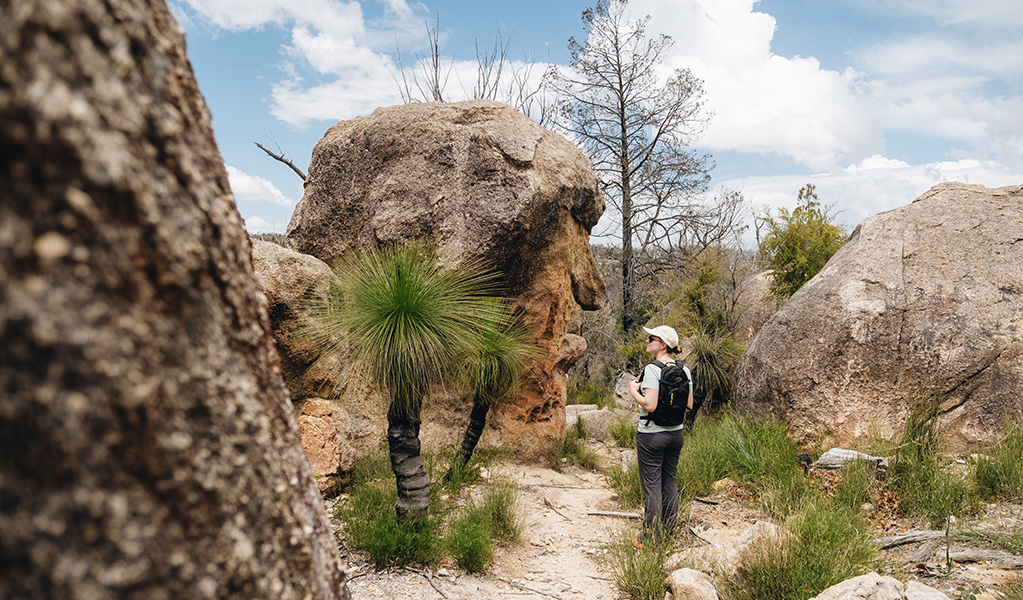 A visitor looking at the Mystery Face, Torrington State Conservation Area. Photo credit: Harrison Candlin &copy; Harrison Candlin