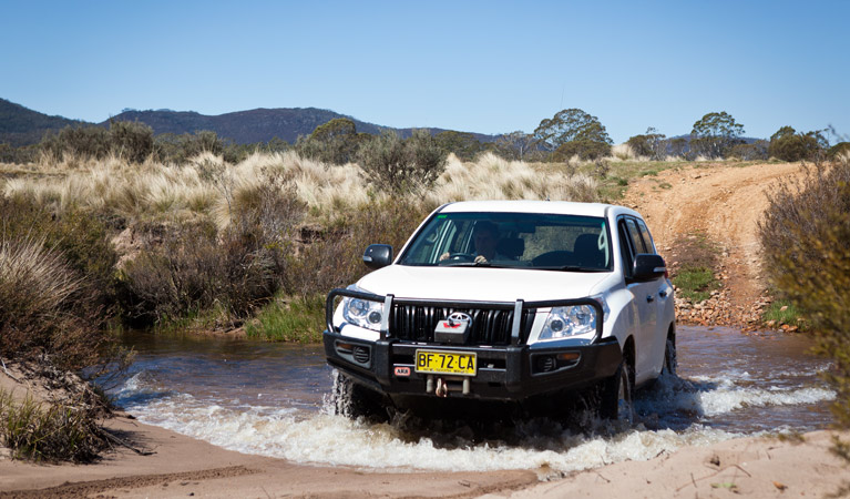 Wadbilliga Road Drive, Wadbilliga National Park. Photo: Lucas Boyd/DPIE