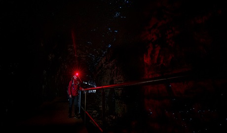 A person using a red light torch inside the tunnel to see Glow Worms along the Glow Worm Tunnel walking track. Credit: John Spencer &copy; DCCEEW