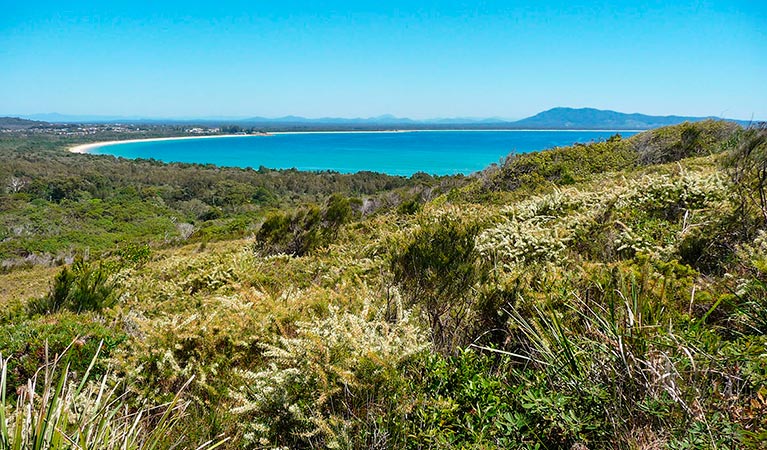 Monument Hill walking track, Arakoon National Park. Photo: Barbara Webster