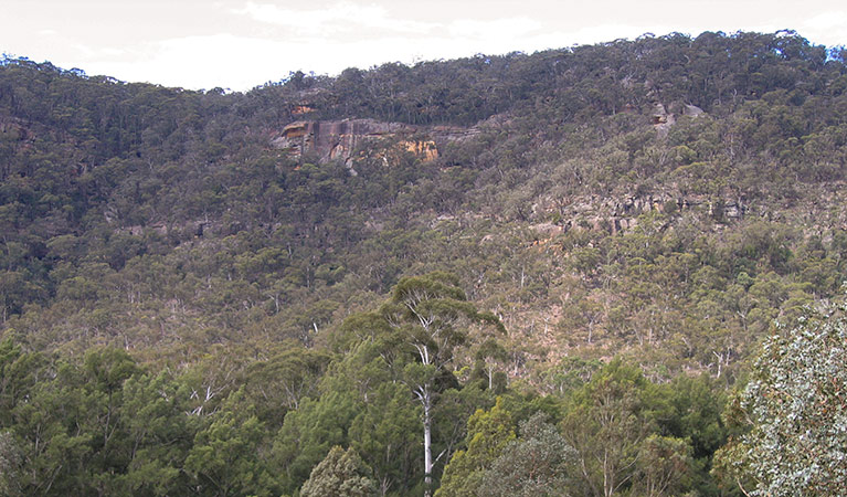 Looking towards the escarpment, Bangadilly National Park. Photo: Phil Craven
