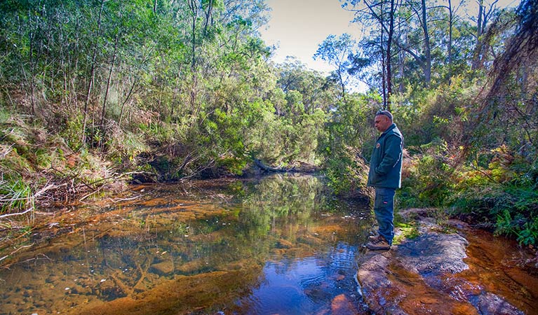 Little River trail, Bargo State Conservation Area. Photo: Nick Cubbin