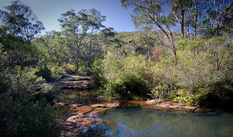 Little River trail, Bargo State Conservation Area. Photo: Nick Cubbin