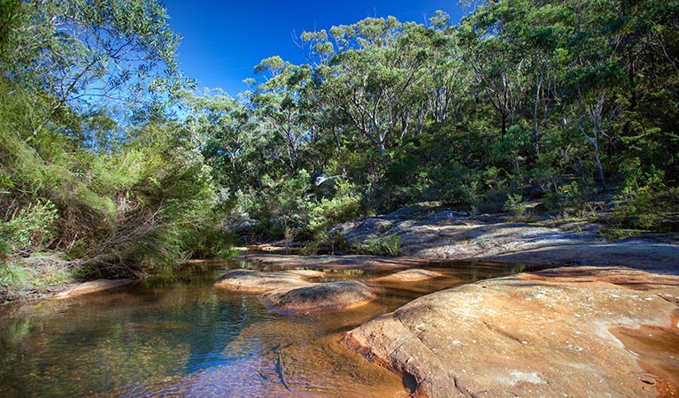 Little River trail, Bargo State Conservation Area. Photo: Nick Cubbin