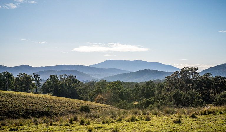 Biamanga National Park. Photo: John Spencer