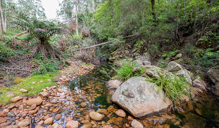 River gorge, Biamanga National Park. Photo: John Spencer
