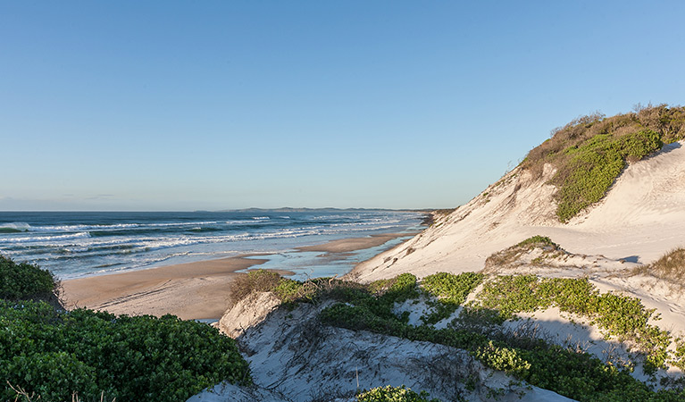 Airforce Beach, Broadwater National Park. Photo: Murray Vanderveer