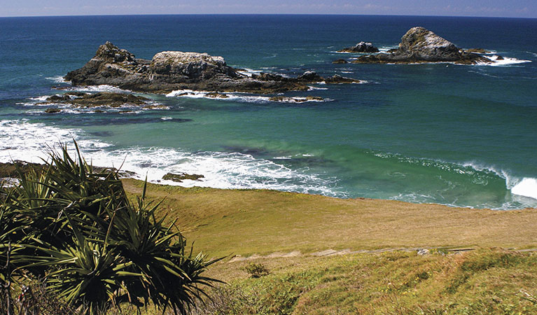 Three sisters, Broken Head Nature Reserve. Photo: Barry Collier