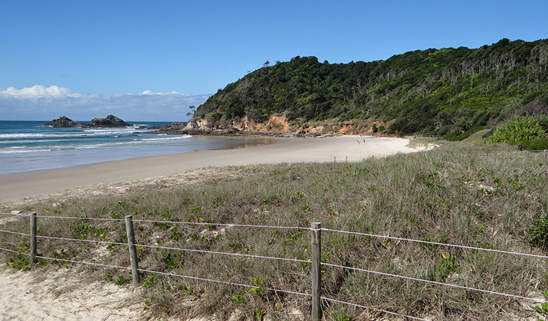 Broken Head Nature Reserve. Photo: D Mackey