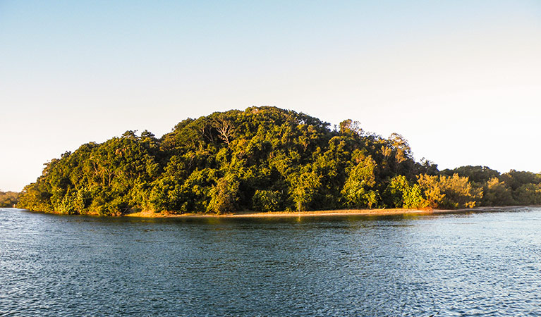 Harrys Hill, Brunswick Heads Nature Reserve. Photo: OEH