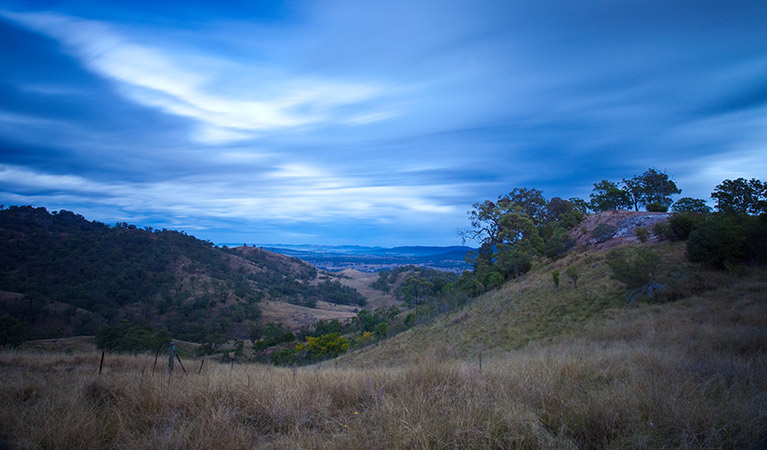 Burning Mountain Nature Reserve. Photo: OEH