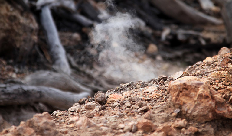 Burning Mountain Nature Reserve. Photo: OEH