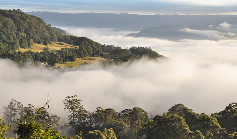 Views over Kangaroo Valley, Cambewarra Range Nature Reserve. Photo: J Devereaux