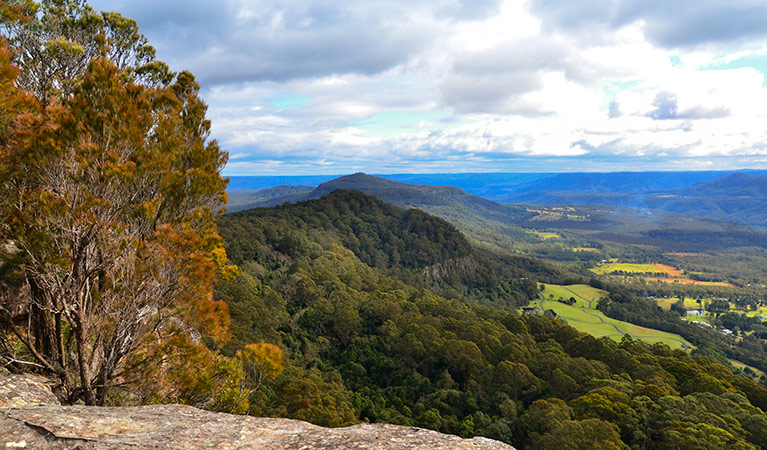 Red Rocks Trig View, Cambewarra Range Nature Reserve. Photo: J Devereaux