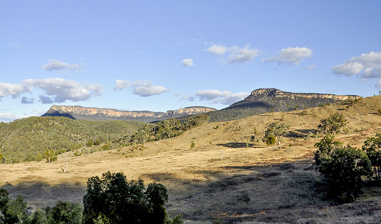 Looking over the escarpment in Capertee National Park. Photo: Michelle Barton