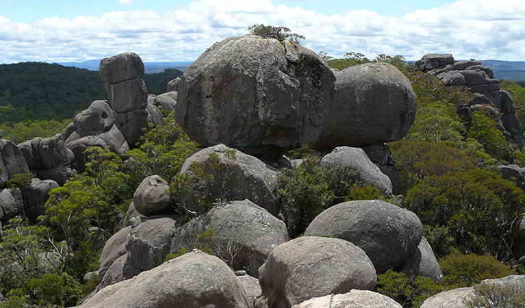 Cathedral Rock track rock pile, Cathedral Rock National Park. Photo: Barbara Webster