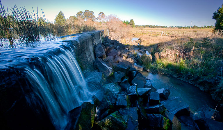 Bong Bong Weir located along Weir View walk, Cecil Hoskins Nature Reserve. Photo: Nick Cubbin