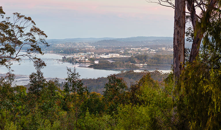 Views looking towards the Clyde River, Clyde River National Park. Photo: Lucas Boyd