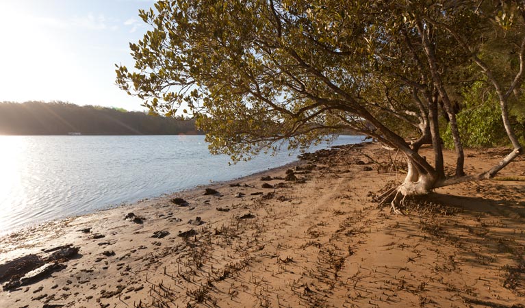 Beach campground in Clyde River National Park. Photo: Lucas Boyd