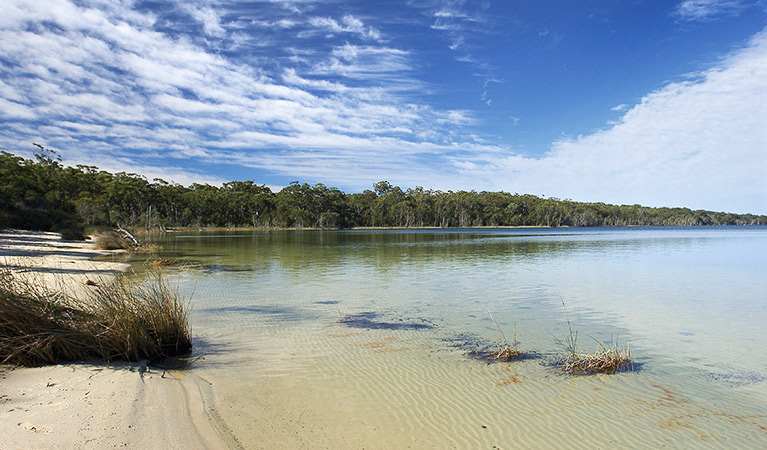 Swan Lake, Conjola National Park. Photo: Michael Van Ewijk