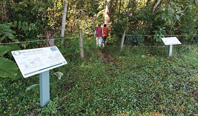 Entrance to the Rainforest walk, Coramba Nature Reserve. Photo: Rob Cleary/Seen Australia