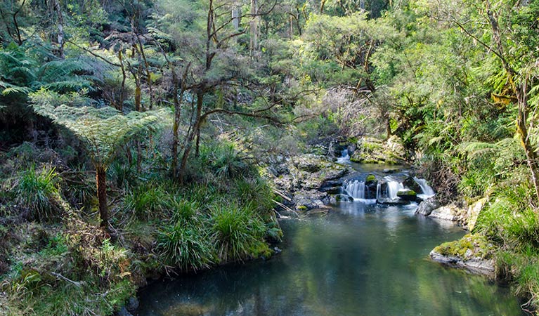 Waterfall, Cottan-Bimbang National Park. Photo: John Spencer