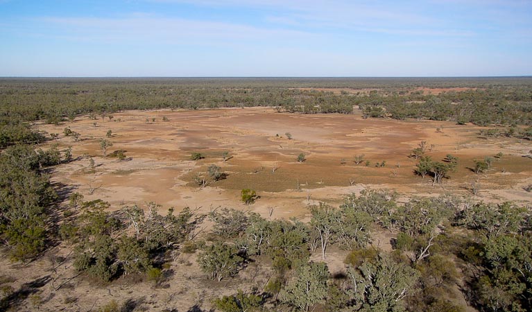 Culgoa claypans, Culgoa National Park. Photo: OEH