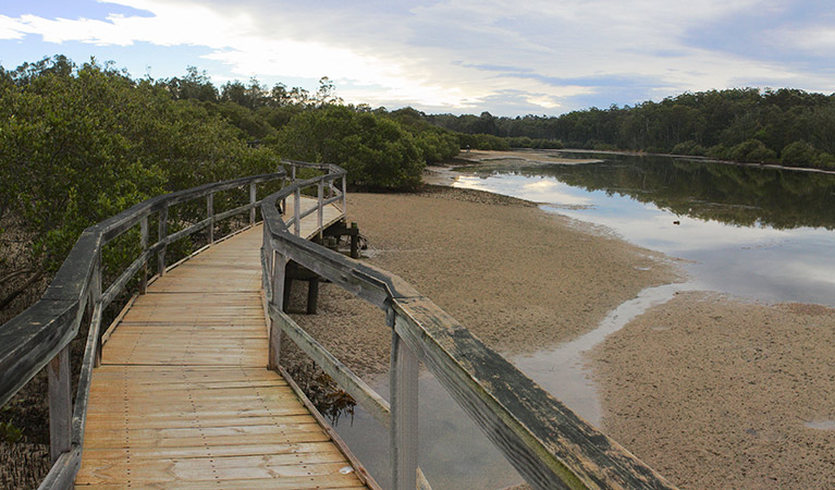 Mangrove walk, Cullendulla Creek Nature Reserve. Photo: Mat Makeham