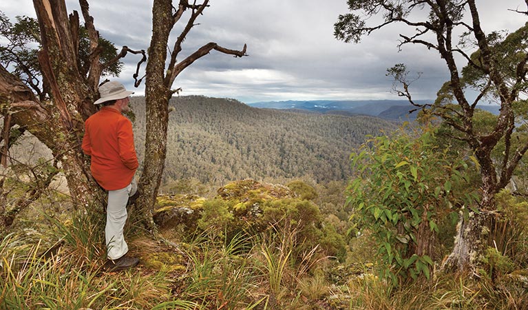 Cunnawarra National Park. Photo: Rob Cleery/Seen Australia