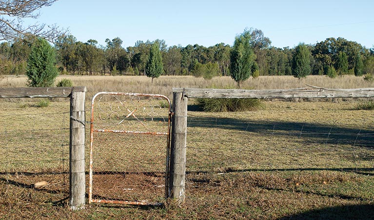 Inverary Homestead, Dthinna Dthinnawan National Park. Photo: Michael van Ewijk