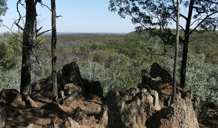 Dthinna Dthinnawan National Park. Photo: OEH