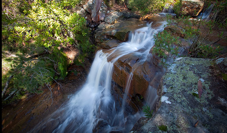 Kellys Falls, Garawarra National Park. Photo: Nick Cubbin