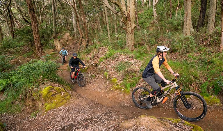3 mountain bikers, Glenrock State Conservation Area. Photo: John Spencer © DPE