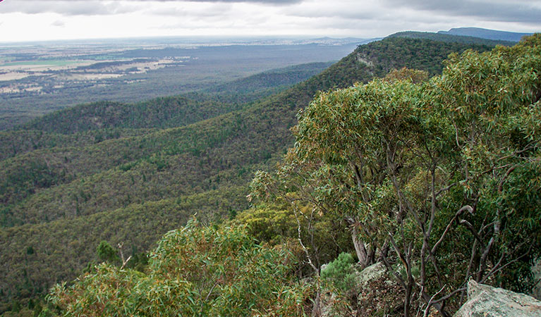 Views from Burrabadine Peak, Goobang National Park. Photo: Amanda Lavender