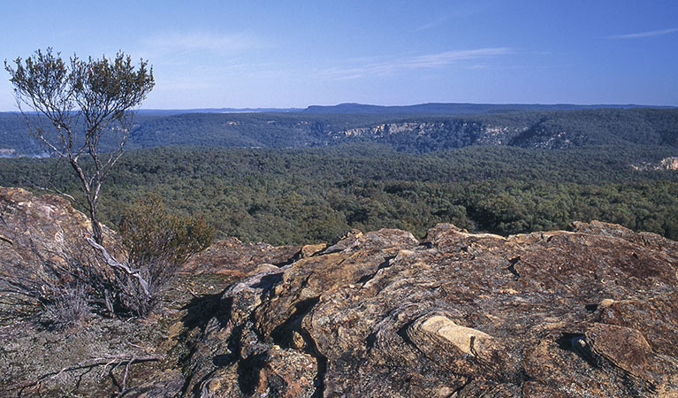 Views over the valley, Goulburn River National. Photo: Shane Ruming