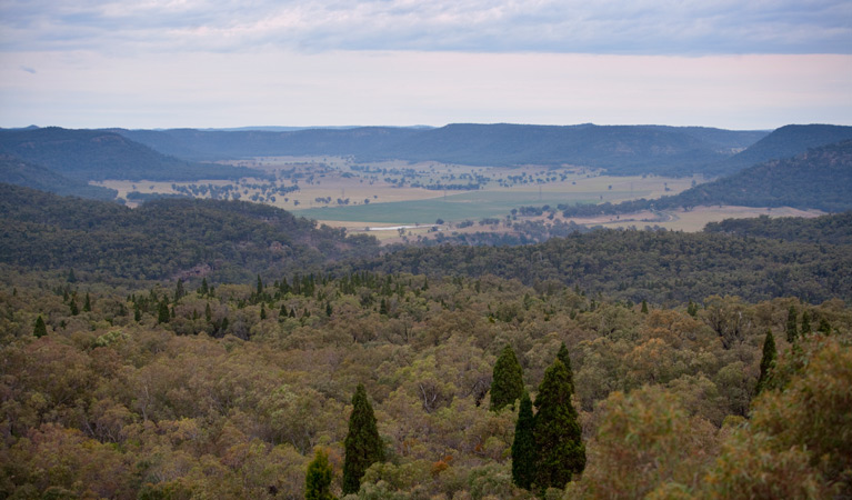 Lees Pinch lookout, Goulburn River National Park. Photo: Nick Cubbin