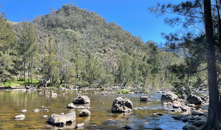 Wollondilly River in Little Forest West Area, Guula Ngurra National Park. Photo: Andrew Boleyn © DPE