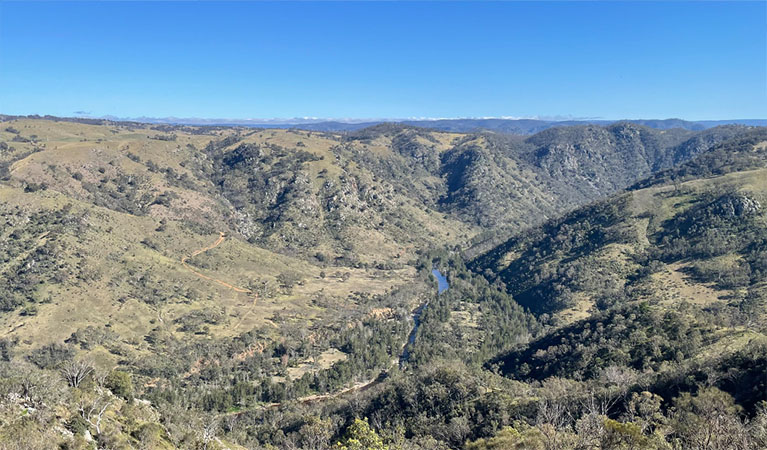 View of Guula Ngurra National Park, from Baldy Billy Peak walking track in Little Forest West area. Photo: Andrew Boleyn © DPE