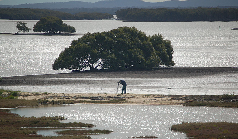 Stockton Sandspit lookout, Hunter Wetlands National Park. Photo: Susan Davis