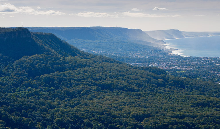 Views across the escarpment, Illawarra Escarpment State Conservation Area. Photo: Nick Cubbin
