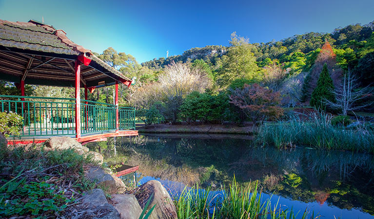 Rhododendron Park picnic area, Illawarra Escarpment State Conservation Area. Photo: Nick Cubbin