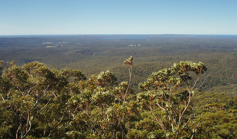 Views from Jerrawangala lookout, Jerrawangala National Park. Photo: R Phelps