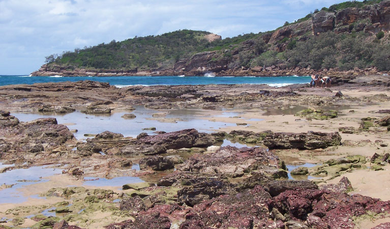 Rockpools, Kattang Nature Reserve. Photo: M Smith