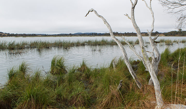 Little Llangothlin Lake, Little Llangothlin Nature Reserve. Photo: Rob Cleary