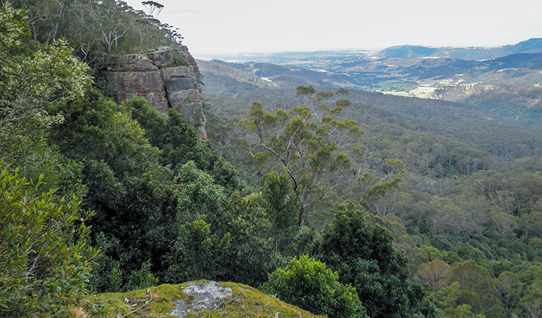 View of Macquarie Pass National Park. Photo: T Moody