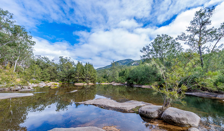 Mann River Nature Reserve. Photo: John Spencer