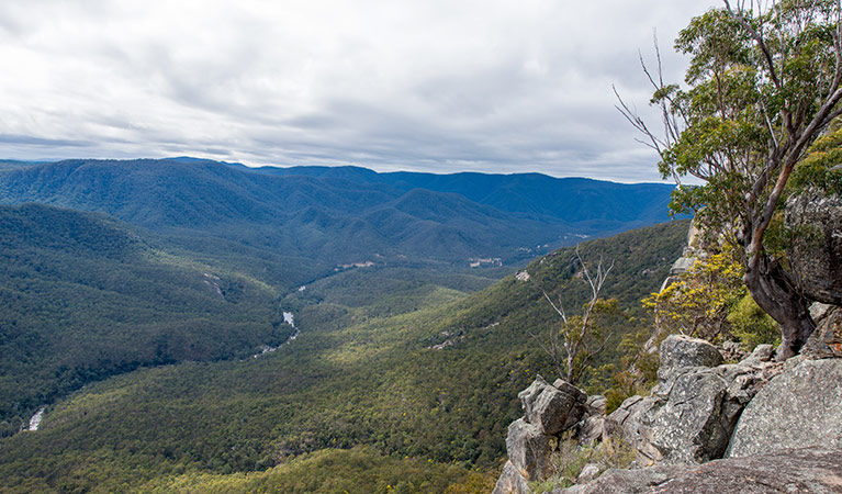 View of Mann River Nature Reserve. Photo: John Spencer