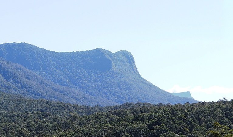 Byrrill Creek walking track, Mebbin National Park. Photo: D Hofmeyer