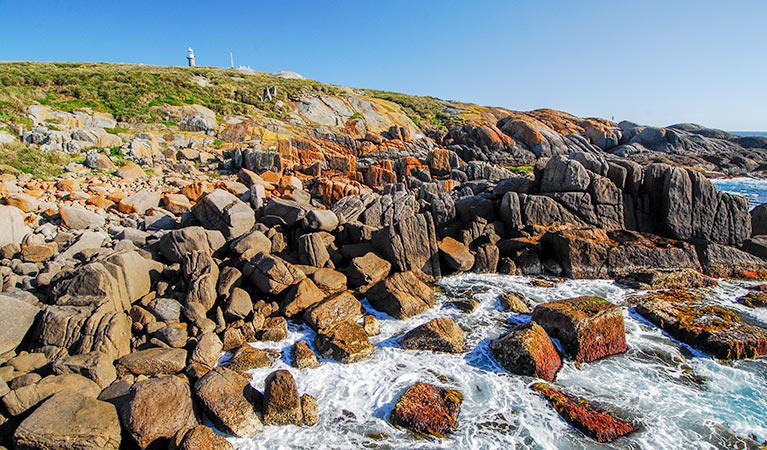 Rocky shoreline, Montague Island Nature Reserve. Photo: Stuart Cohen