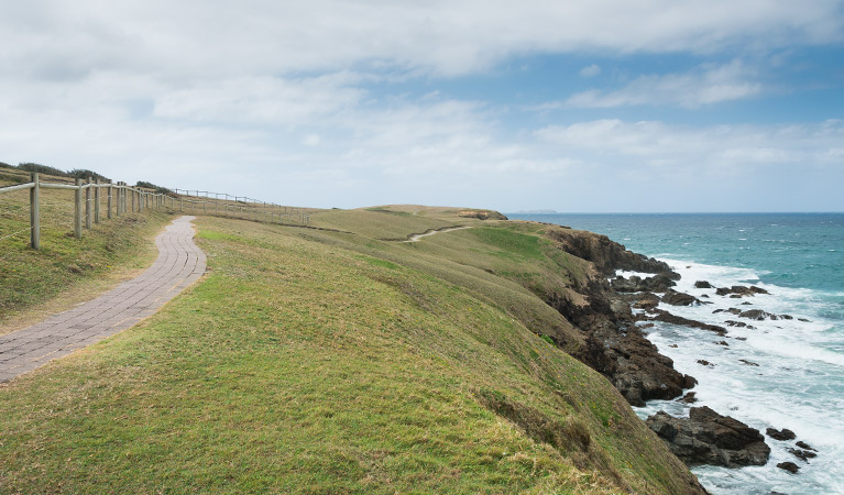 Look At Me Now Headland walk, Moonee Beach Nature Reserve. Photo: David Young